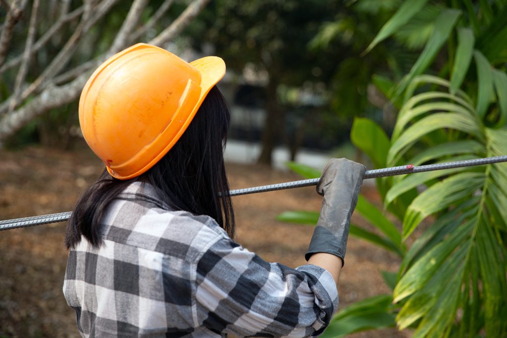 estudios de impacto ambiental